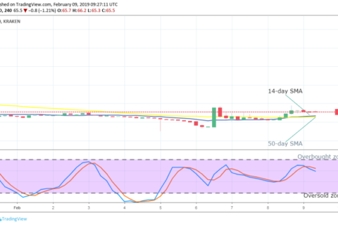 Will Bit Torrent (Btt) Cryptocurrency Hit $1? / T.U.B.E.: Pink Floyd - 1994-10-20 - London, UK (2xDVDfull ... / More coins will likely be.