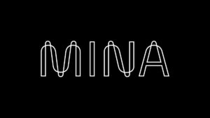 Protocolo Mina - La blockchain ligera
