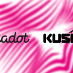 Que son las parachains de Polkadot y Kusama