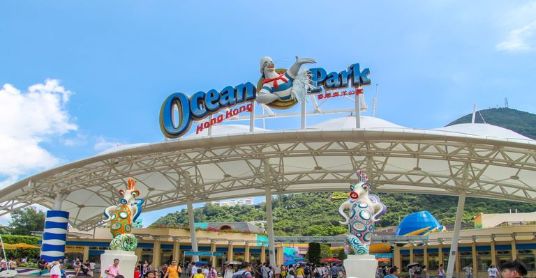 El parque temático Ocean Park se asocia con Sandbox para desarrollar experiencias inmersivas
