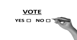 El 80% Vota SÍ al Renacimiento de la Red Terra
