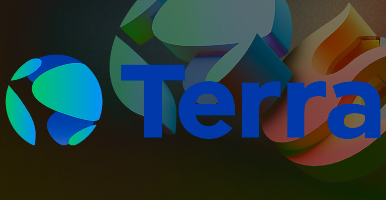 Terraform Labs CEO
