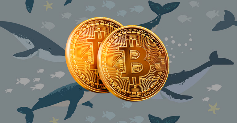 Las Whales de Bitcoin se Benefician de la Victoria Legal de Grayscale Sobre la SEC
