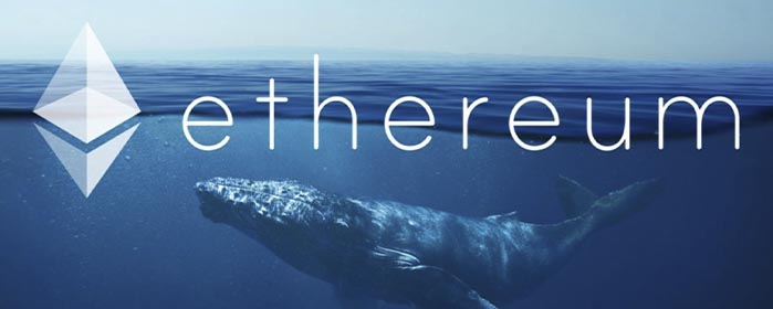 Crypto Whale compra 4711 ETH en medio del aumento del precio de Ethereum