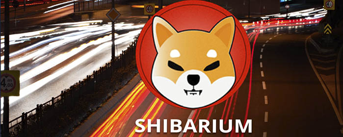 NFTs de Shibarium: Guía Paso a Paso de Lucie para su Adquisición