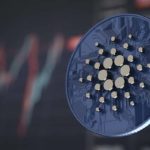 Suspensión Temporal: Hoskinson Reorganiza Estrategia de Exhibición en Cardano