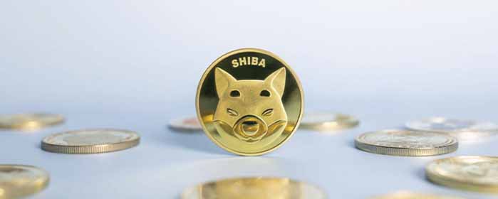 SHIB Leader Warning: Caution Against Scams