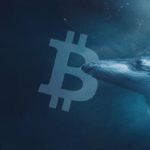 bitcoin ballenas