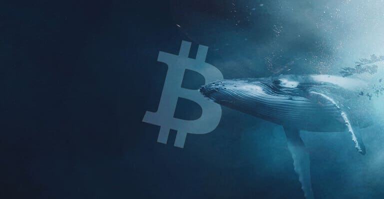 bitcoin ballenas