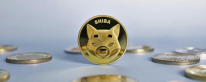 Gran Compra de 1.75 Billones de Tokens SHIB en Robinhood 