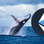 Actividad de una Ethereum ICO Whale y su Impacto en el Mercado
