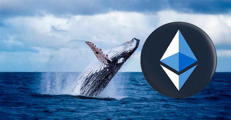 Actividad de una Ethereum ICO Whale y su Impacto en el Mercado