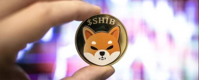 Shiba Inu (SHIB) Se Dispara un 588% en Transacciones de Ballenas