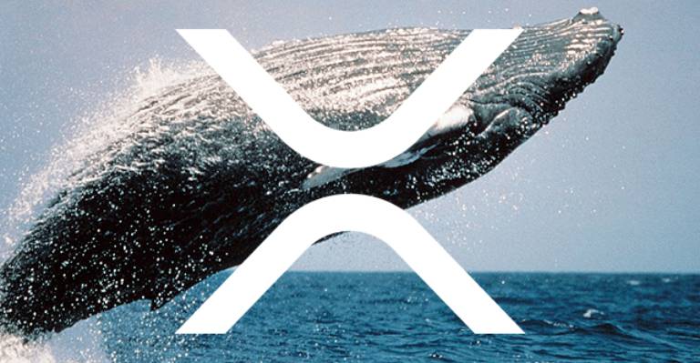 Ballenas de XRP Acumulan $276M en Medio de la Incertidumbre