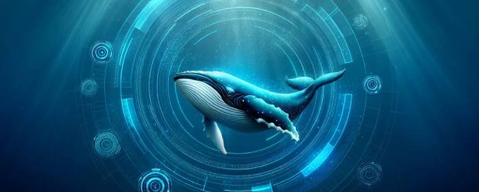 XRP Whales Accumulate $276M Amid Uncertainty