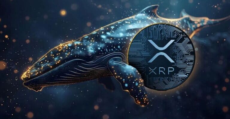 XRP en la Mira de las Ballenas: ¿Qué Está Sucediendo?