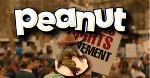 Peanut: El Memecoin de $2 Mil Millones Nacido del Dolor