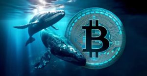Las Ballenas de Bitcoin Retoman la Acumulación