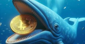 Bitcoin (BTC): Las Ballenas Acumulan y los Pequeños Inversores Venden