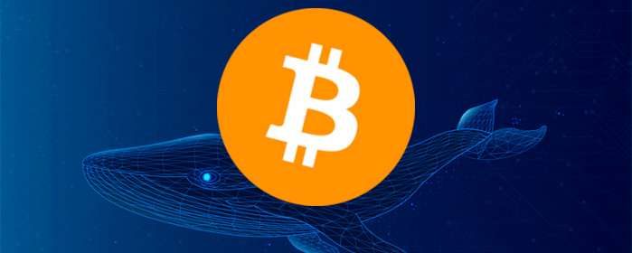 La Confianza Institucional se Dispara: Los ETF de Bitcoin captan $5.130 millones, lo que Alimenta las Especulaciones