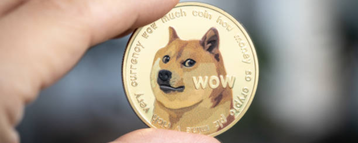 DOGE IMAGEN