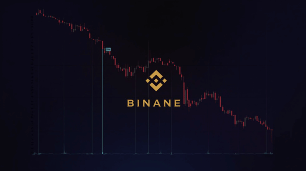 Gráfica descendente de BNB con precio bajo $1000, logo de Binance y medidor del índice Fear and Greed señalando zona de miedo