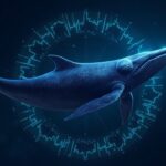 Encabezado fotorrealista: ballena de Cardano ADA orbitando gráficos de mercado con un logotipo ADA brillante, señalando acumulación por delante.
