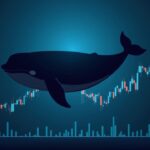 Ballena sobre un gráfico de precio de XCN en declive con iconos de compra y carteras minoristas desvaneciéndose, nodos blockchain en el fondo.