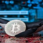 Bitcoin Whales Accumulate $108 million Worth of BTC As Price Dips To Around $8,800