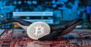 Bitcoin Whales Accumulate $108 million Worth of BTC As Price Dips To Around $8,800