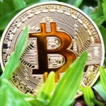 Increasing Bitcoin hash rate indicates that miners are back online