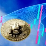 Bitcoin Whales Accumulated More Coins Post-Halving