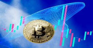 Bitcoin Whales Accumulated More Coins Post-Halving