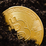 Bitcoin regains momentum, as Elon Musk says he talked to North American Bitcoin Miners