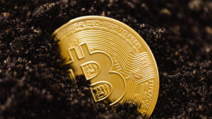 Bitcoin regains momentum, as Elon Musk says he talked to North American Bitcoin Miners