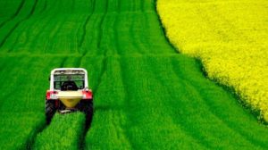 yield-farming