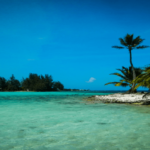 Próspera ZEDE (Honduras) Announced That Bitcoin and Other Cryptocurrencies Operate As Legal Tender Within its Jurisdiction
