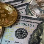 The World Bank is Concerned about the Adoption of BTC by the Central African Republic