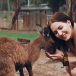 Australia Zoo and Meadow Labs Create Unique Collection of NFTS to Help Animals