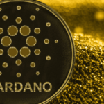 Uniswap Does More Transactions than Cardano, says Ethereum Maxi Evans Vans Ness