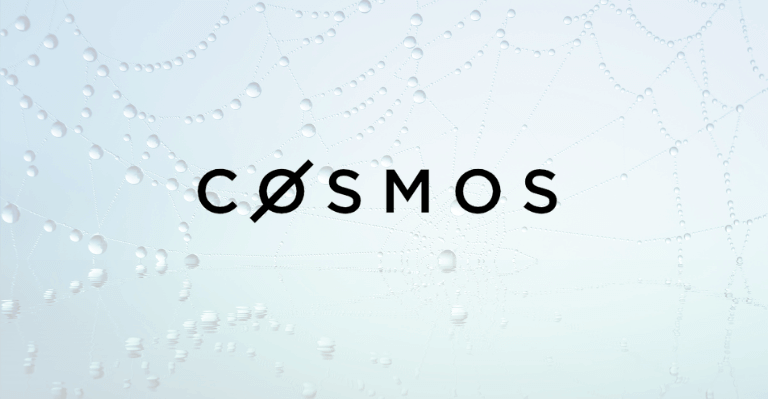 Cosmos Team Discovers a Critical Security Vulnerability in Its System