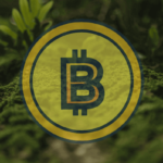 New York Governor Signs a Bill to Ban PoW Crypto Mining