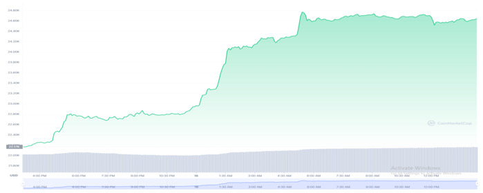 Bitcoin (BTC) Crosses $24,500 - Why is the Crypto Market Soaring High