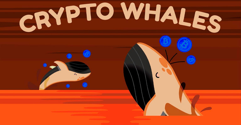 Crypto Whales and Their Love for Stablecoins