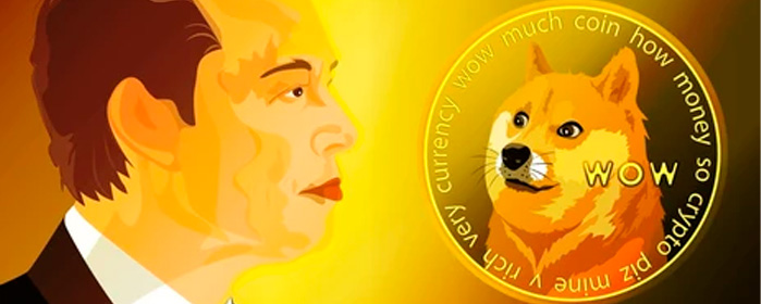 Elon Musk Dogecoin