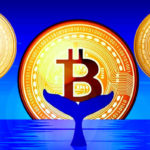 Crypto Whales Unload Assets Amidst Market Downturn