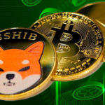 Shiba Inu Bitcoin Ether