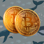 Bitcoin Whales Profit from Grayscale’s Legal Victory over SEC