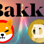 Bakkt Relaunches Custody Services with Dogecoin and Shiba Inu Support