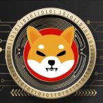 Shiba Inu Ready for New Burning: Shibarium in Focus to Reduce SHIB Token Supply